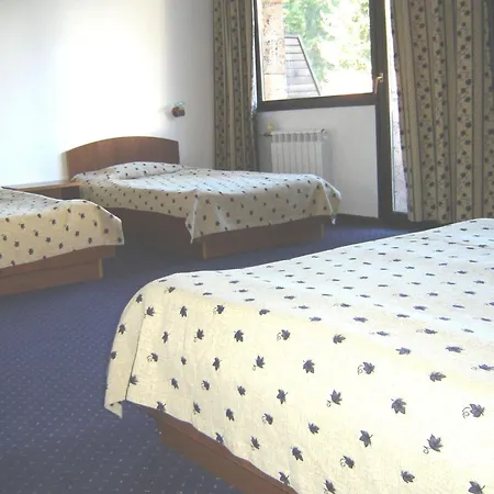 Finlandia Hotel 4*